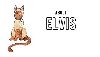 About Elvis pic