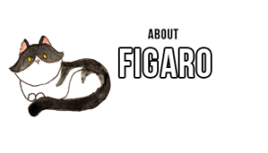 About Figaro pic