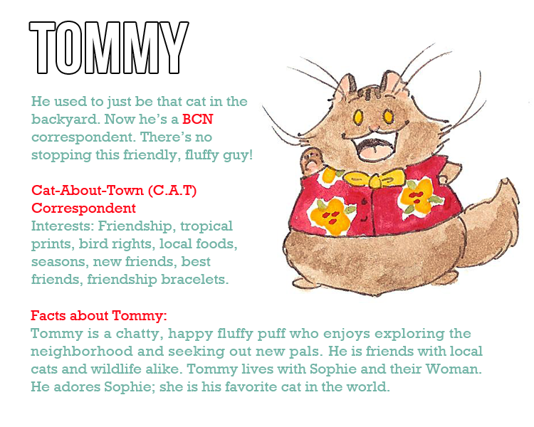 Character profile New Tommy