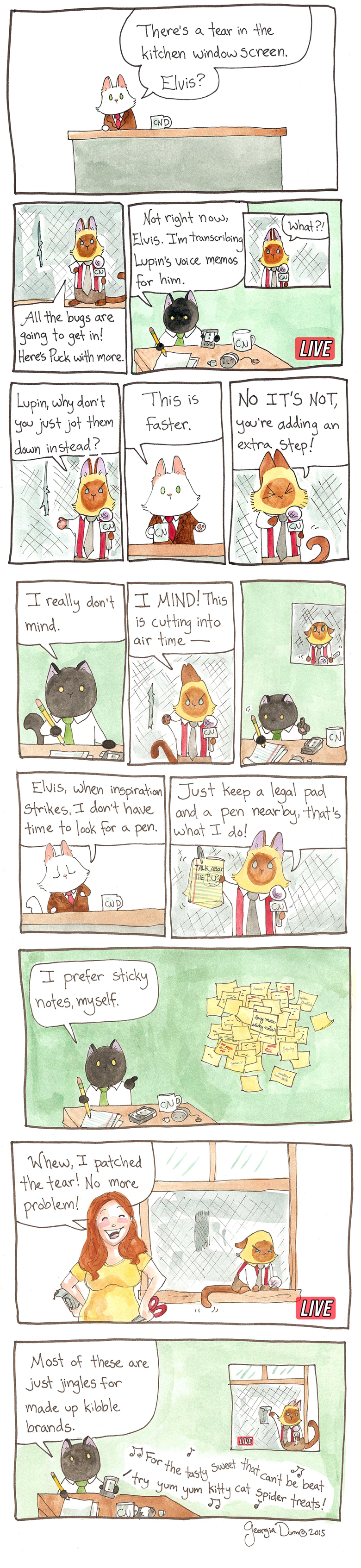 There’s a tear in the kitchen window screen.