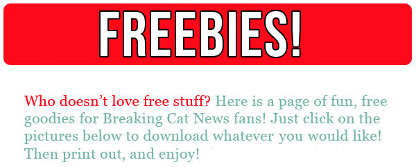 Freebies