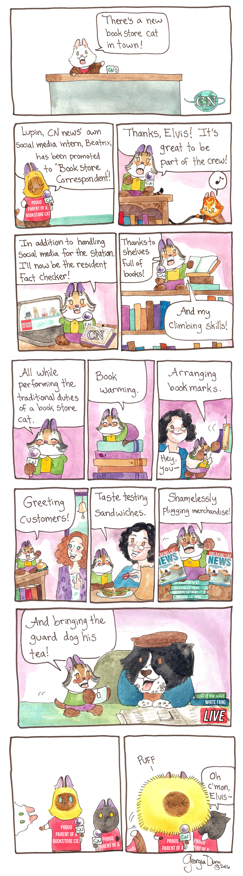 There’s a new bookstore cat in town!